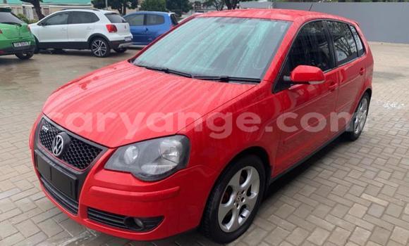 Acheter Occasion Voiture Volkswagen Polo Rouge à Windhoek, Namibie Acheter Occasion Voiture Volkswagen Polo Rouge à Windhoek, Namibie