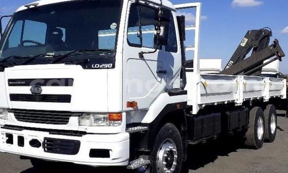 Buy Used Nissan UD White Truck in Grootfontein in Namibia