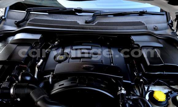 Buy Used Land Rover Discovery Sport White Car in Windhoek in Namibia Buy Used Land Rover Discovery Sport White Car in Windhoek in Namibia