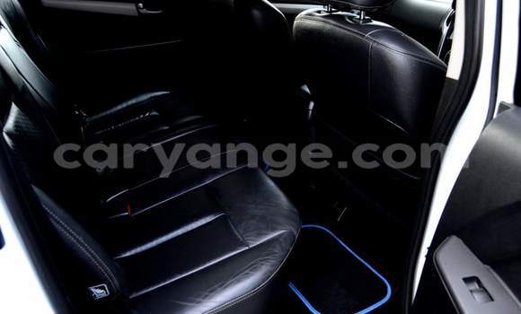 Buy Used Isuzu KB White Car in Grootfontein in Namibia Buy Used Isuzu KB White Car in Grootfontein in Namibia