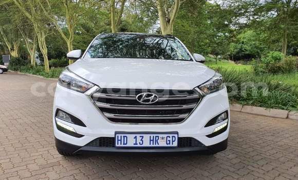 Buy Used Hyundai Tucson White Car in Windhoek in Namibia Buy Used Hyundai Tucson White Car in Windhoek in Namibia