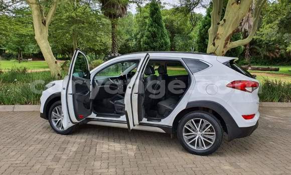 Buy Used Hyundai Tucson White Car in Windhoek in Namibia Buy Used Hyundai Tucson White Car in Windhoek in Namibia