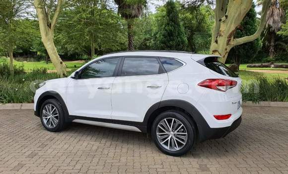 Buy Used Hyundai Tucson White Car in Windhoek in Namibia Buy Used Hyundai Tucson White Car in Windhoek in Namibia