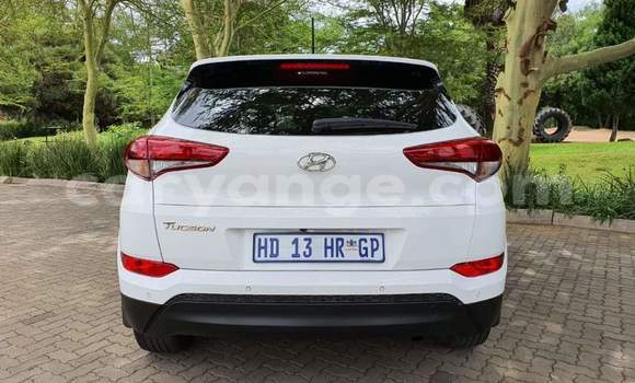 Buy Used Hyundai Tucson White Car in Windhoek in Namibia Buy Used Hyundai Tucson White Car in Windhoek in Namibia