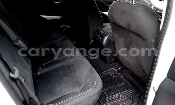 Buy Used Nissan Navara White Car in Windhoek in Namibia Buy Used Nissan Navara White Car in Windhoek in Namibia
