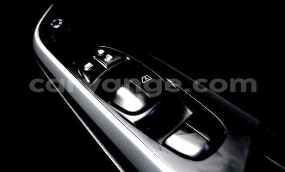 Buy Used Nissan Navara White Car in Windhoek in Namibia Buy Used Nissan Navara White Car in Windhoek in Namibia