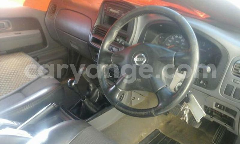 Big with watermark 19030339 709237869248804 8378660185752961642 n