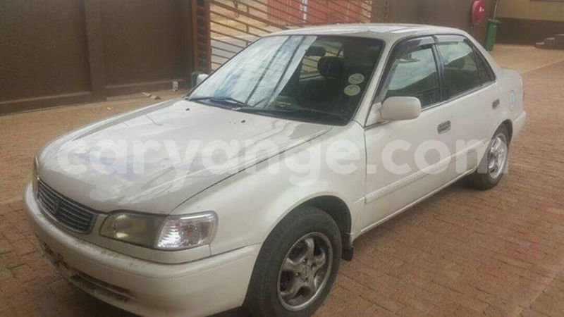 Big with watermark 18952779 709237862582138 3608237861038673941 n