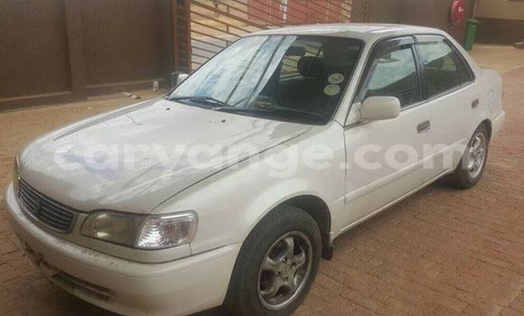 Buy Used Toyota Corolla White Car in Windhoek in Namibia Buy Used Toyota Corolla White Car in Windhoek in Namibia