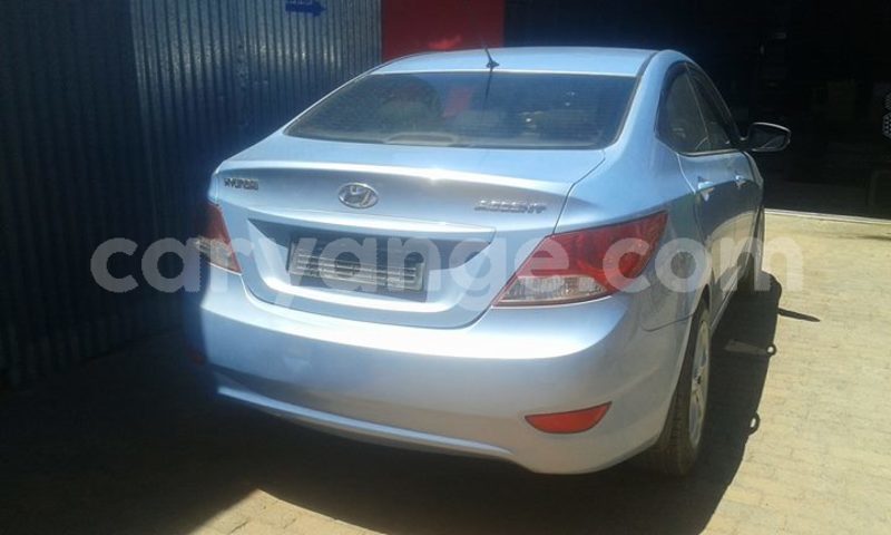 Big with watermark 18954797 10109901822210850 5806381462207131836 o