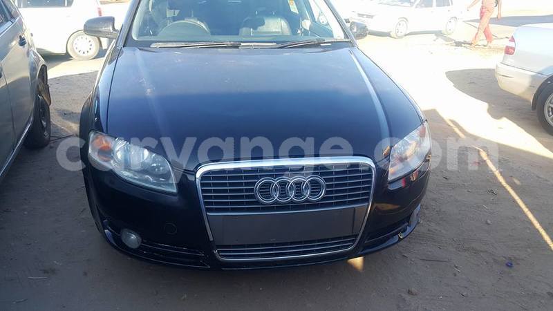 Big with watermark 18952779 709237862582138 3608237861038673941 n