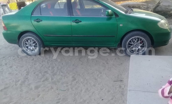 Buy Used Toyota Corolla Green Car in Windhoek in Namibia