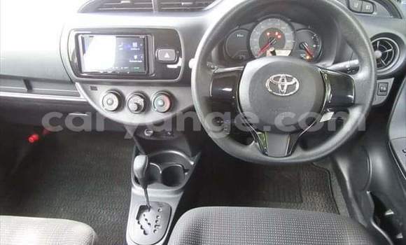 Acheter Occasion Voiture Toyota Vitz Bleu à Windhoek, Namibie Acheter Occasion Voiture Toyota Vitz Bleu à Windhoek, Namibie