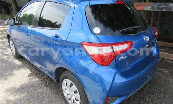 Acheter Occasion Voiture Toyota Vitz Bleu à Windhoek, Namibie Acheter Occasion Voiture Toyota Vitz Bleu à Windhoek, Namibie