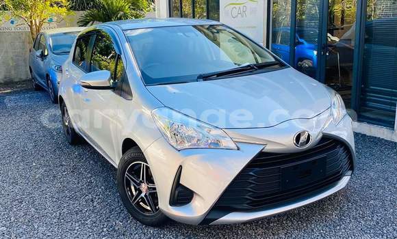Buy Used Toyota Vitz Silver Car in Windhoek in Namibia