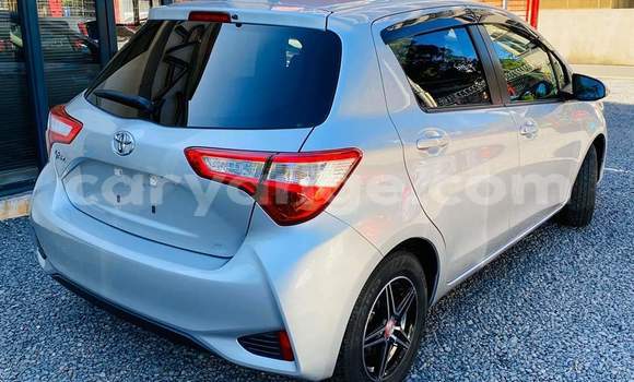 Acheter Occasion Voiture Toyota Vitz Gris à Windhoek, Namibie Acheter Occasion Voiture Toyota Vitz Gris à Windhoek, Namibie