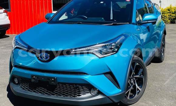Buy Used Toyota C-HR Blue Car in Windhoek in Namibia