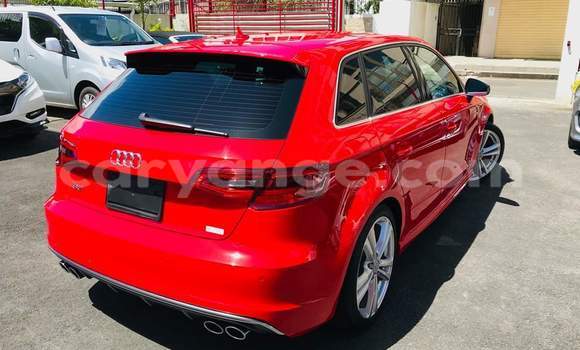 Buy Used Audi RS3 Red Car in Windhoek in Namibia Buy Used Audi RS3 Red Car in Windhoek in Namibia
