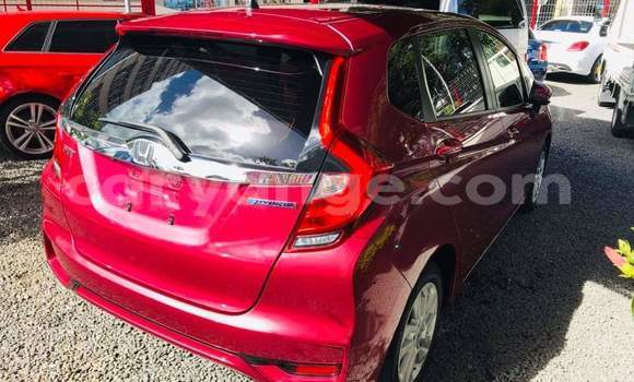 Buy Used Honda FIT Red Car in Windhoek in Namibia Buy Used Honda FIT Red Car in Windhoek in Namibia