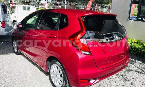 Buy Used Honda FIT Red Car in Windhoek in Namibia Buy Used Honda FIT Red Car in Windhoek in Namibia