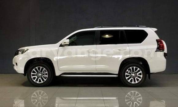 Buy Used Toyota Land Cruiser Prado White Car in Windhoek in Namibia Buy Used Toyota Land Cruiser Prado White Car in Windhoek in Namibia
