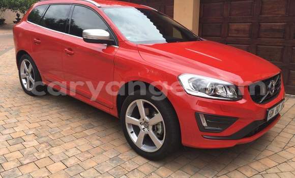 Buy Used Volvo XC60 Red Car in Grootfontein in Namibia