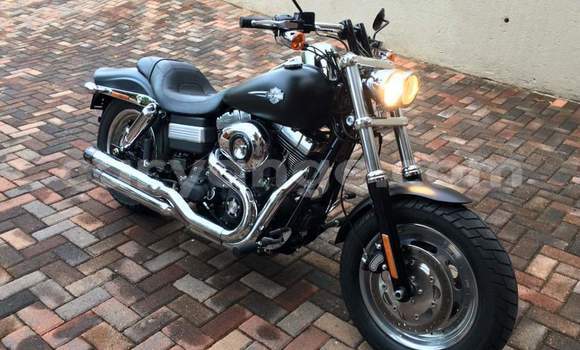Buy Used Harley Davidson Dyna Black Bike in Grootfontein in Namibia