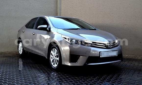 Buy Used Toyota Corolla Silver Car in Grootfontein in Namibia