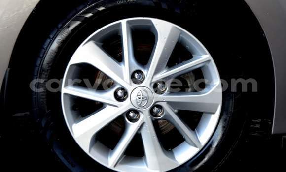 Buy Used Toyota Corolla Silver Car in Grootfontein in Namibia Buy Used Toyota Corolla Silver Car in Grootfontein in Namibia
