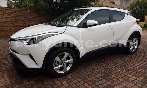 Buy Used Toyota C-HR White Car in Windhoek in Namibia Buy Used Toyota C-HR White Car in Windhoek in Namibia