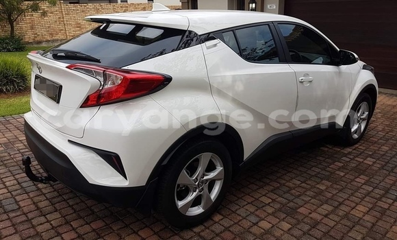 Buy Used Toyota C-HR White Car in Windhoek in Namibia Buy Used Toyota C-HR White Car in Windhoek in Namibia
