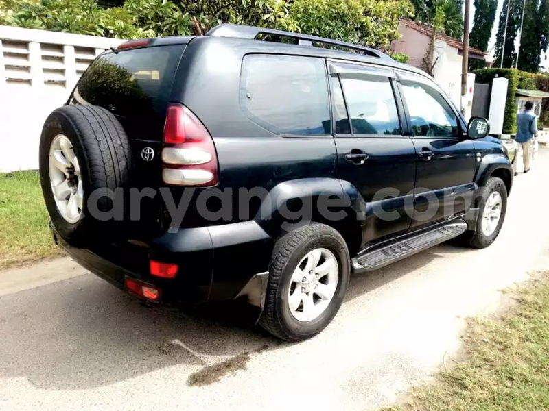 Big with watermark b7