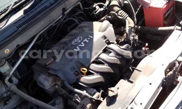 Acheter Occasion Voiture Toyota Runx Gris à Windhoek, Namibie Acheter Occasion Voiture Toyota Runx Gris à Windhoek, Namibie