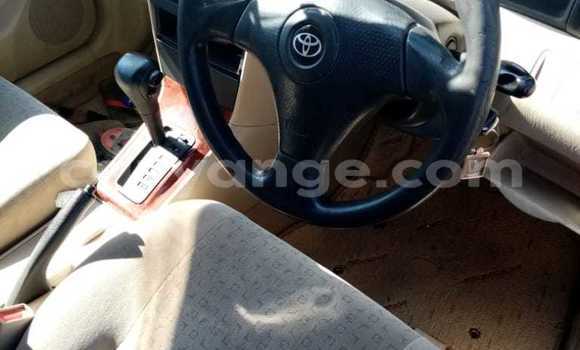 Acheter Occasion Voiture Toyota Runx Gris à Windhoek, Namibie Acheter Occasion Voiture Toyota Runx Gris à Windhoek, Namibie