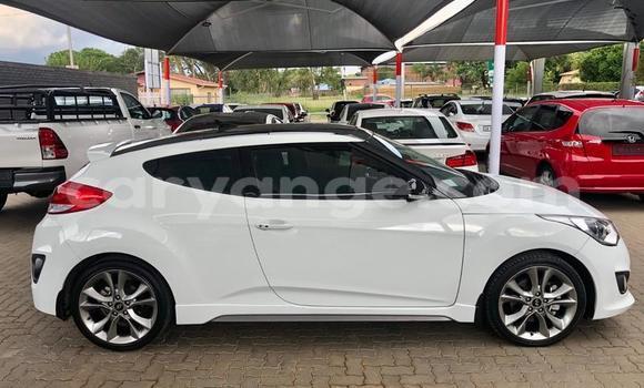 Buy Used Hyundai Veloster White Car in Otavi in Oshikoto Buy Used Hyundai Veloster White Car in Otavi in Oshikoto