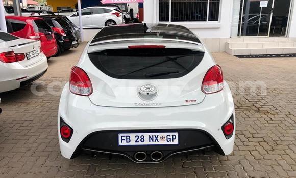 Buy Used Hyundai Veloster White Car in Otavi in Oshikoto Buy Used Hyundai Veloster White Car in Otavi in Oshikoto