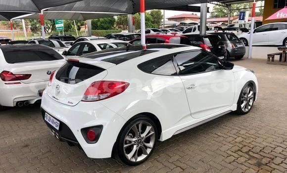 Buy Used Hyundai Veloster White Car in Otavi in Oshikoto Buy Used Hyundai Veloster White Car in Otavi in Oshikoto