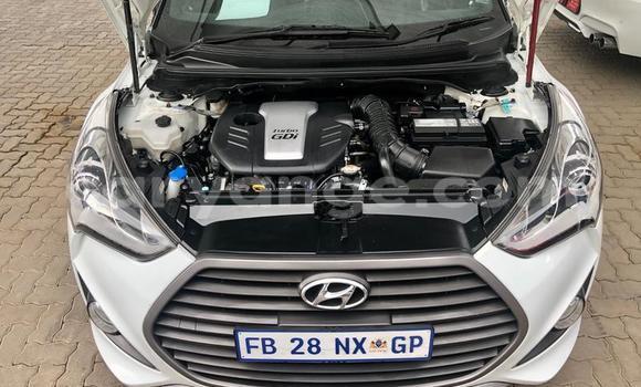 Buy Used Hyundai Veloster White Car in Otavi in Oshikoto Buy Used Hyundai Veloster White Car in Otavi in Oshikoto