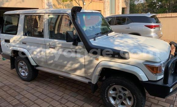 Buy Used Toyota Land Cruiser Other Car in Otavi in Oshikoto Buy Used Toyota Land Cruiser Other Car in Otavi in Oshikoto