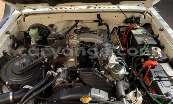 Buy Used Toyota Land Cruiser Other Car in Otavi in Oshikoto Buy Used Toyota Land Cruiser Other Car in Otavi in Oshikoto