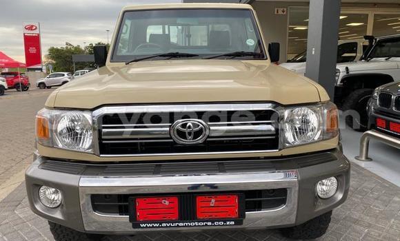 Buy Used Toyota Land Cruiser Beige Car in Otavi in Oshikoto Buy Used Toyota Land Cruiser Beige Car in Otavi in Oshikoto