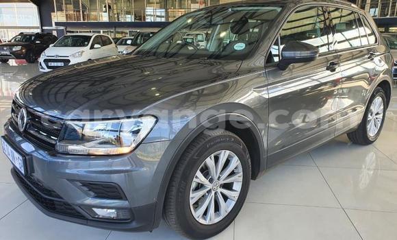 Buy Used Volkswagen Tiguan Other Car in Otavi in Oshikoto Buy Used Volkswagen Tiguan Other Car in Otavi in Oshikoto