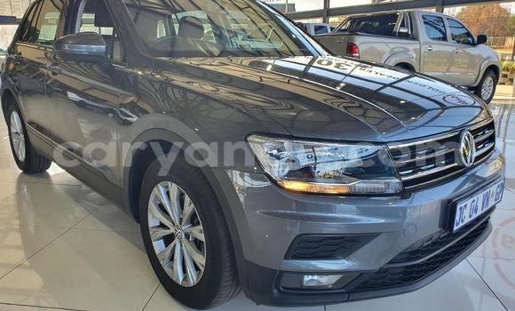 Buy Used Volkswagen Tiguan Other Car in Otavi in Oshikoto Buy Used Volkswagen Tiguan Other Car in Otavi in Oshikoto