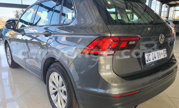 Buy Used Volkswagen Tiguan Other Car in Otavi in Oshikoto Buy Used Volkswagen Tiguan Other Car in Otavi in Oshikoto