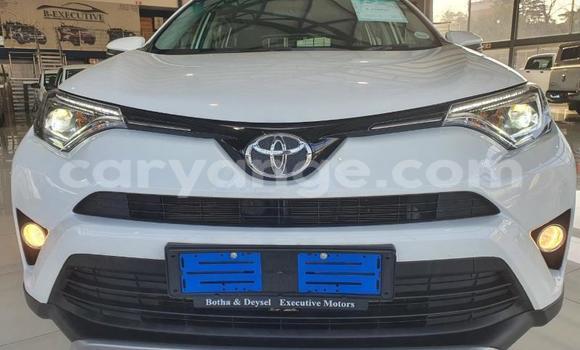 Buy Used Toyota RAV4 White Car in Otavi in Oshikoto Buy Used Toyota RAV4 White Car in Otavi in Oshikoto