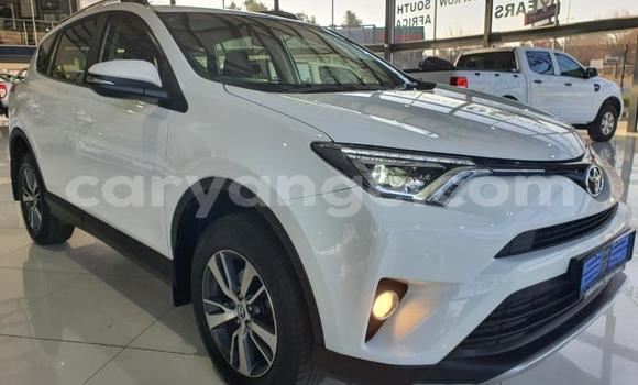 Buy Used Toyota RAV4 White Car in Otavi in Oshikoto Buy Used Toyota RAV4 White Car in Otavi in Oshikoto