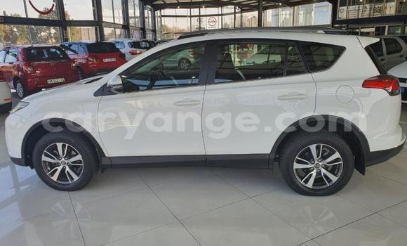 Buy Used Toyota RAV4 White Car in Otavi in Oshikoto Buy Used Toyota RAV4 White Car in Otavi in Oshikoto