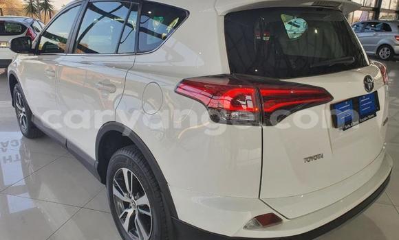Buy Used Toyota RAV4 White Car in Otavi in Oshikoto Buy Used Toyota RAV4 White Car in Otavi in Oshikoto