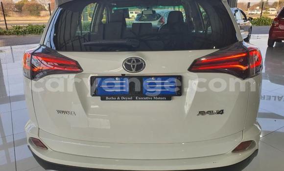 Buy Used Toyota RAV4 White Car in Otavi in Oshikoto Buy Used Toyota RAV4 White Car in Otavi in Oshikoto