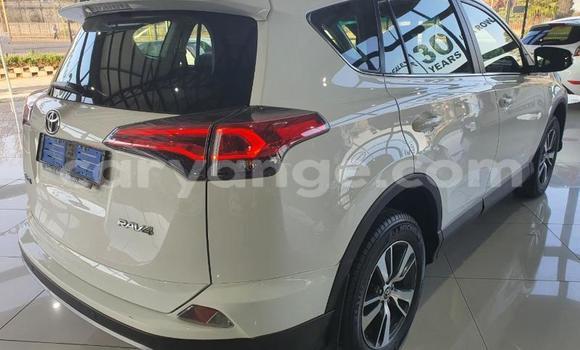 Buy Used Toyota RAV4 White Car in Otavi in Oshikoto Buy Used Toyota RAV4 White Car in Otavi in Oshikoto